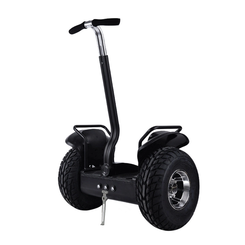 2020 New Self Balance Two Big Wheel Fat Tire Chariot E Power Scooter