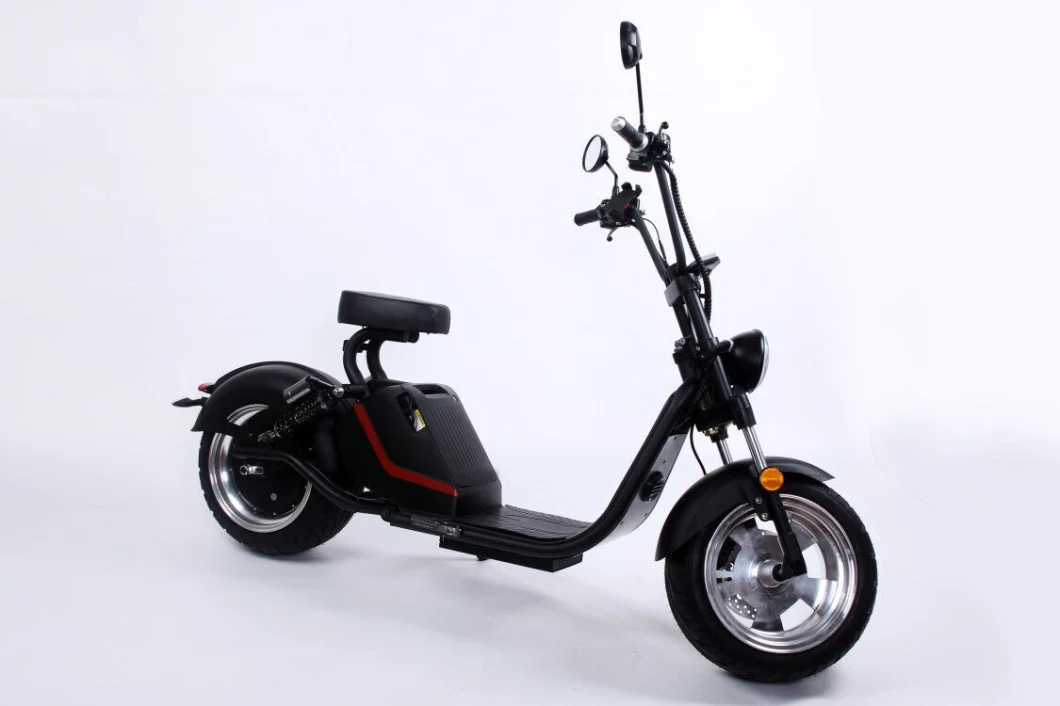 Super Power Removable Lithium Battery EEC Approval European Export Pony Model