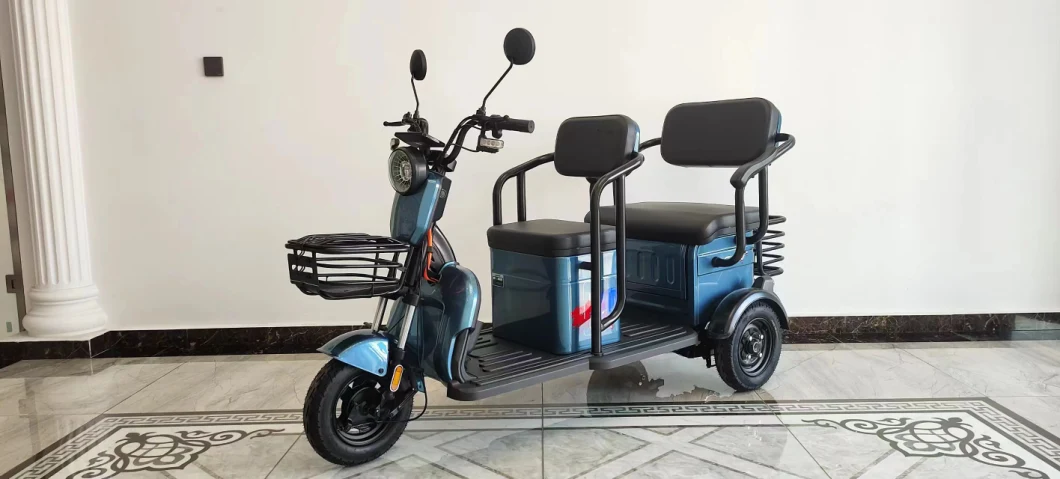 2023 Factorydirect Selling Adult Electric Etrike Leisure Electric Cargo Tricyclle Have Child Seats Family Daily Use Shopping Electric Three Wheel Scooter