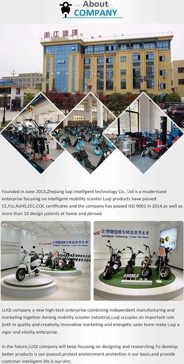 Competitive Price EEC/CE Approved Private Model Strong Frame Suitable Electric Citycoco