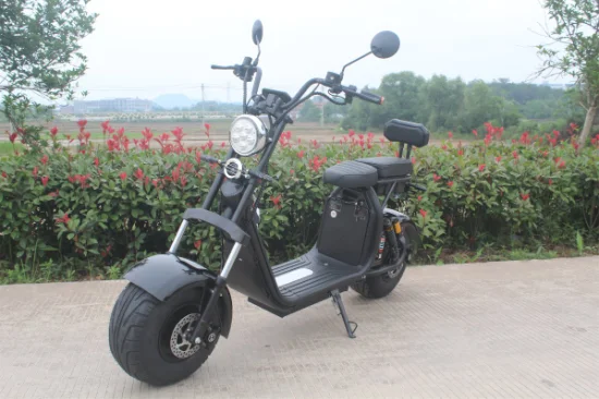 Hot Sale Red Citycoco Scooter électrique 1500W Power Halley Scooter électrique Citycoco