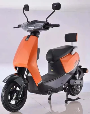 Saige 800W pédale d'assistance 48V 60V batterie au plomb ou batterie au Lithium petite taille mode Scooter électrique avec écran LED