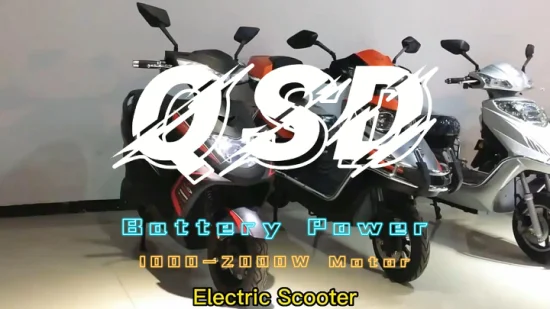 48 Tension 1000 Watt 2 Roues Scooter électrique alimenté par batterie de voiture électrique pour usage personnel adulte