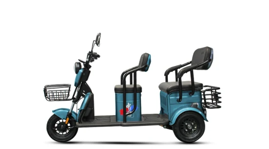 2023 Factorydirect Selling Adult Electric Etrike Leisure Electric Cargo Tricyclle Have Child Seats Family Daily Use Shopping Scooter électrique à trois roues