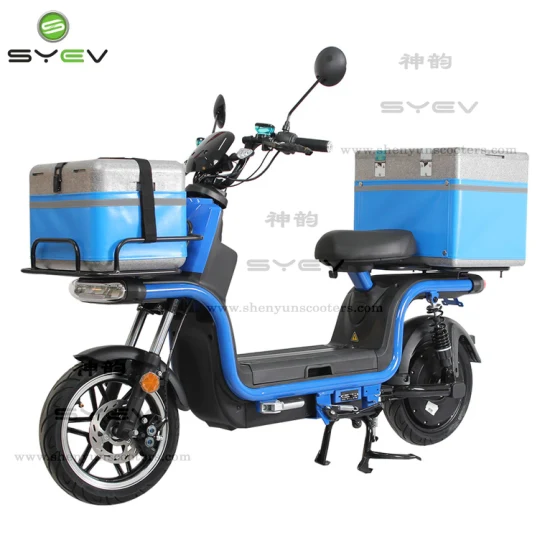 Shenyun Commerce de gros 120 km longue portée noir/vert/jaune/blanc 10 pouces/12 pouces livraison de pneus scooter/vélo électrique pour restauration rapide Pizza avec deux boîtes