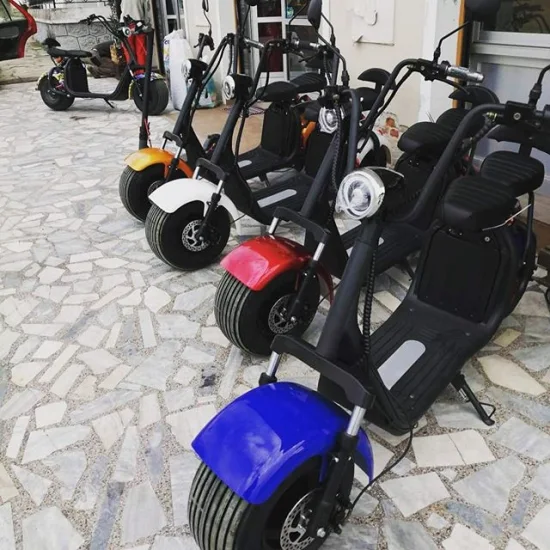 Scooter électrique Citycoco CEE Coc 1500W 2000W 60V 12ah 20ah Batterie au lithium Scooter de mobilité électrique Adulte Deux roues Scooter électrique Stocks d'entrepôt de l'UE