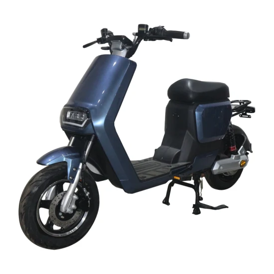 Scooter électrique de meilleure qualité de la couleur bleue 800W 1000W pour l'adulte