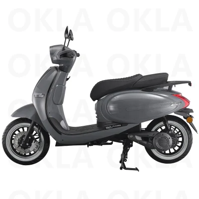 Scooter électrique de module adulte simple le plus rapide gris Ebike