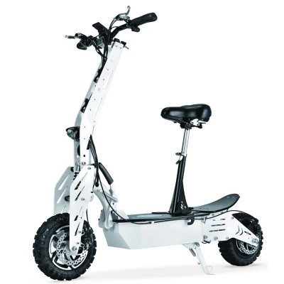 Nouveau scooter électrique au lithium 2000W à double moteur 48V 20ah