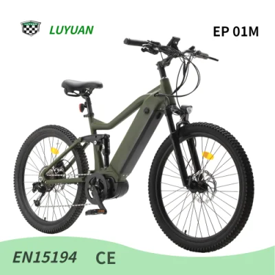 Vélo de ville électrique Luyuan Middle Drive pour adultes