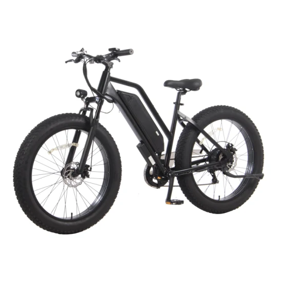 48V 500W adulte deux roues 26 pouces 7 vitesses vélo de saleté électrique cyclomoteur vélo électrique Suspension avant vélo électrique gros vélo